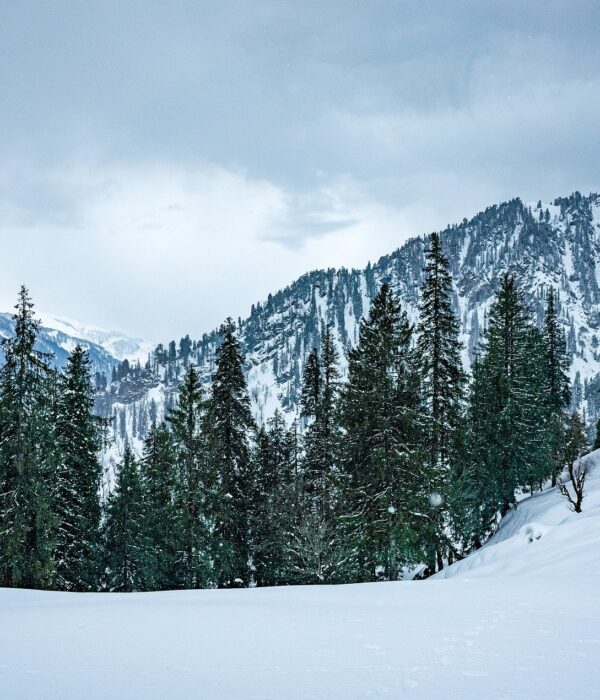 Kullu Manali Tour Package